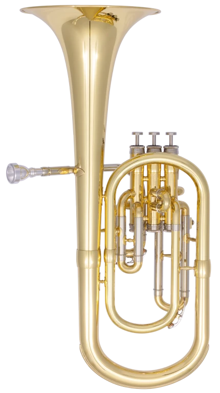 CAH311 Conn Beginner Alto Horn