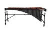 Slide 5 Thumbnail