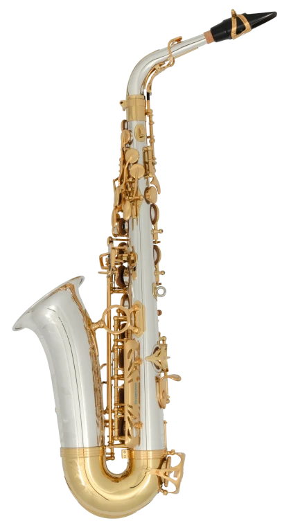 AW035 Yanagisawa Professional Alto Saxophone