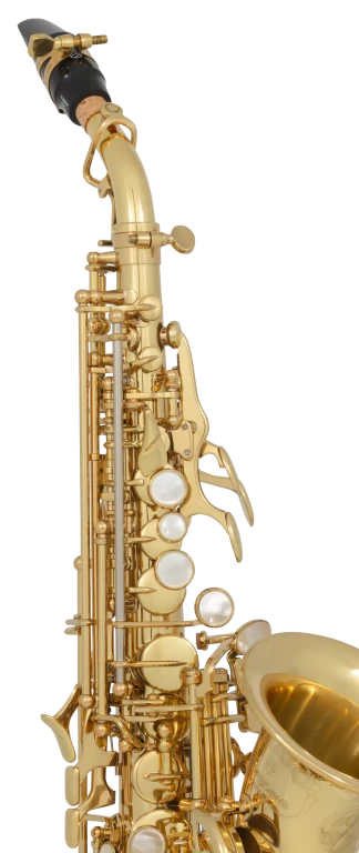 SCWO10 Yanagisawa Curves Soprano Saxophone