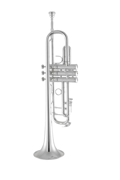 180S43 Bach Professional Silver Trumpet In Bk Vr Fs