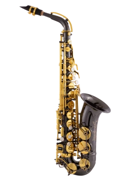 Intermediate Alto Saxophone CAS411BG