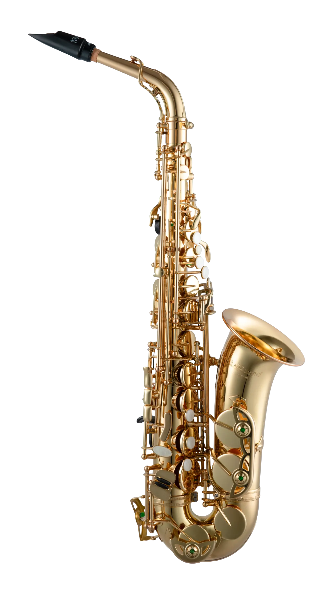 LAS511 LeBlanc Advanced Alto Sax - zoomed in