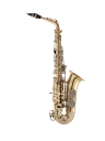 Selmer Alto Saxophone in Eb SAS301