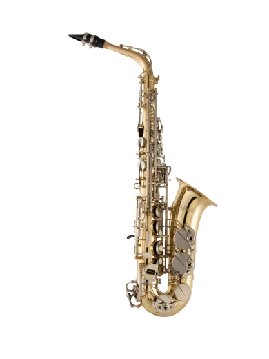 Selmer Alto Saxophone in Eb SAS301