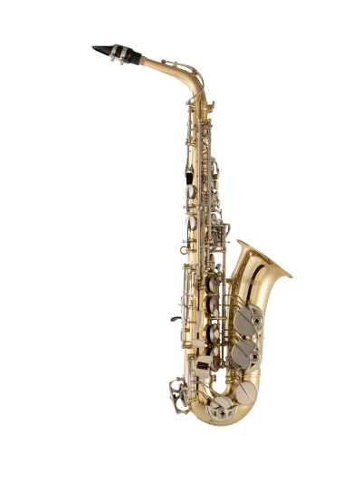 Selmer Alto Saxophone in Eb SAS301