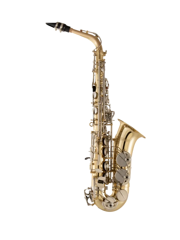 SAS301 Selmer Student Alto Saxophone In Fr Vr Fs