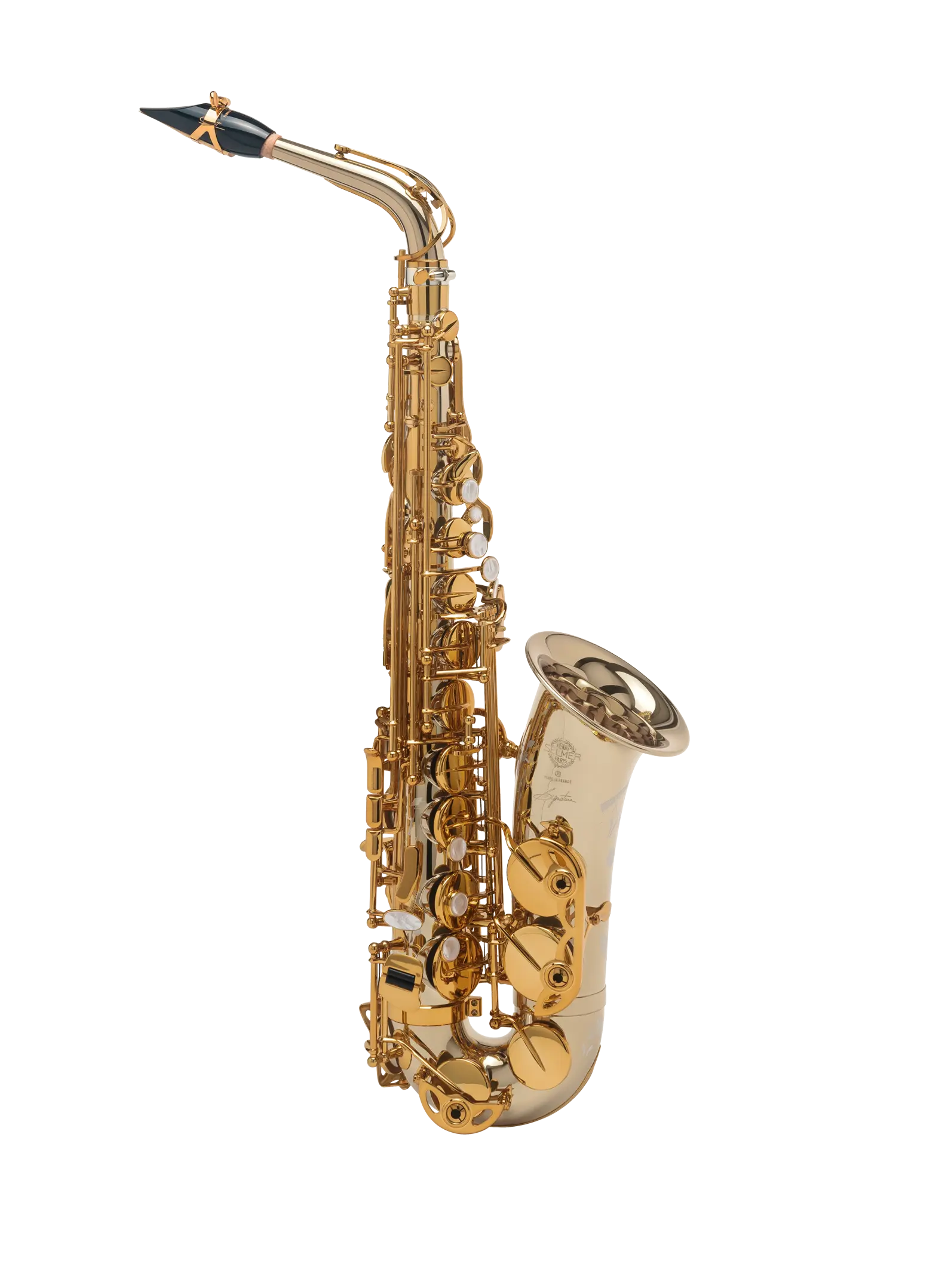 82SIGA HSP Professional Alto Saxophone - zoomed in