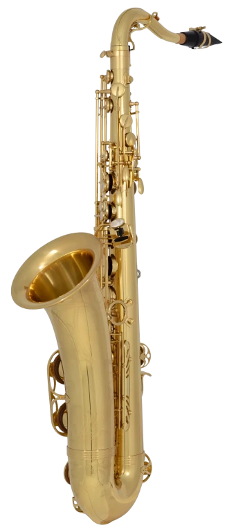 TWO10 Yanagisawa Professional Tenor Saxophone