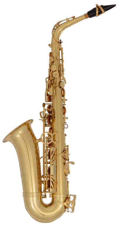 AW01 Yanagisawa Professional Alto Saxophone