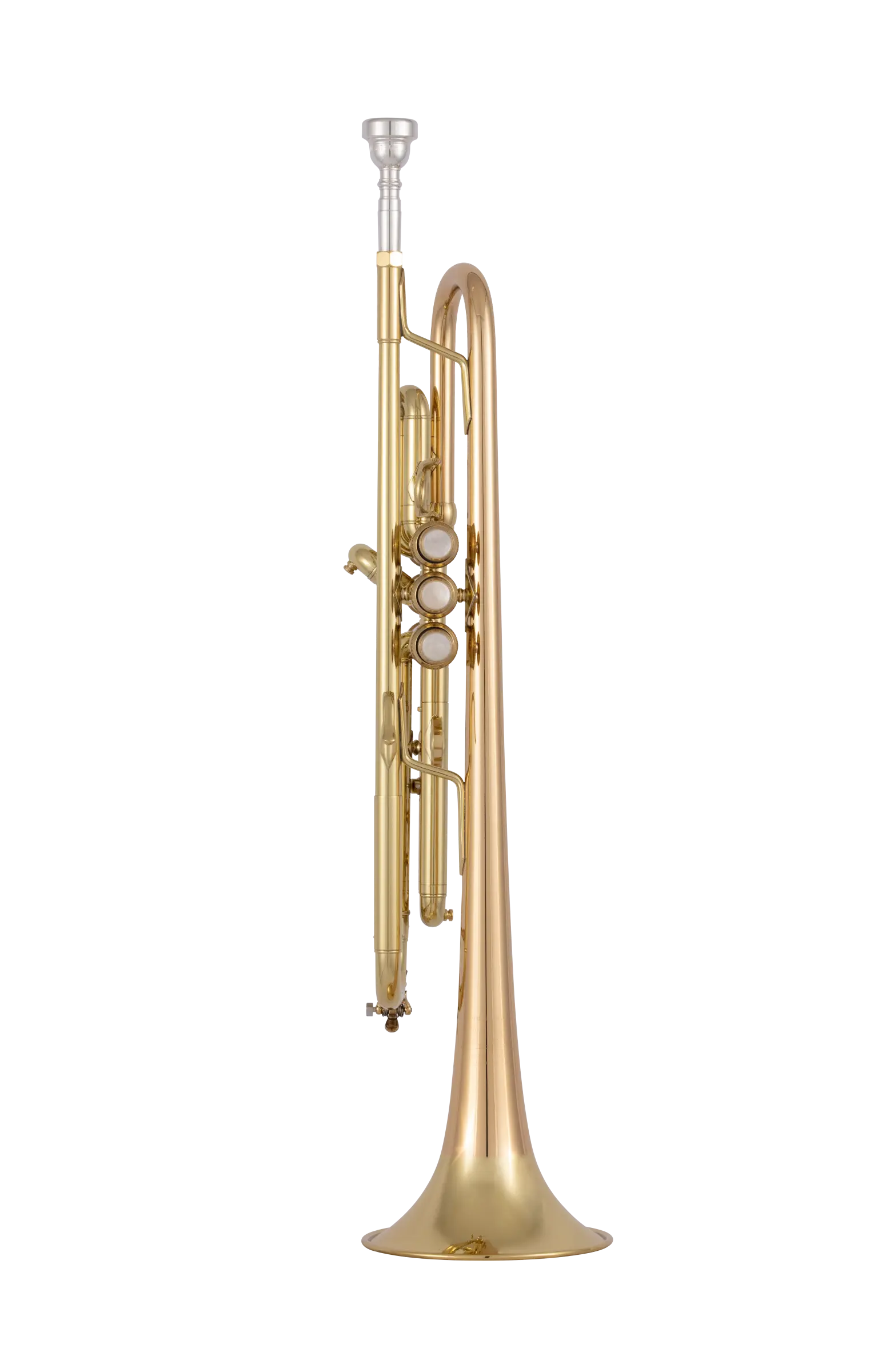 17043GYR Bach Professional Trumpet - zoomed in
