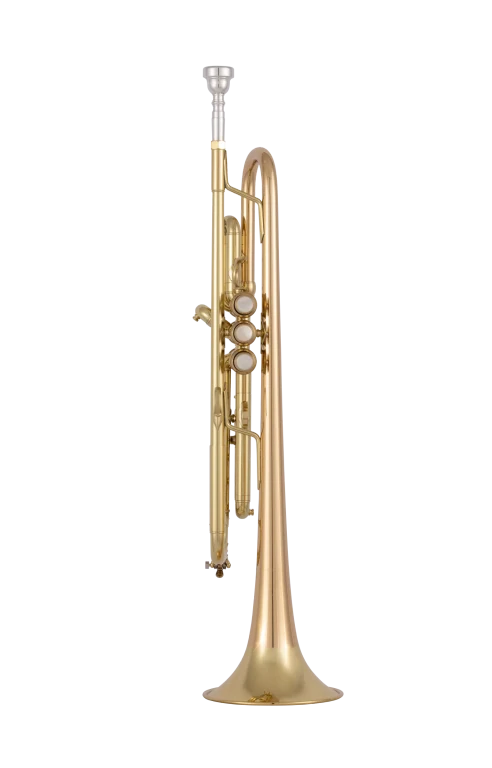 17043GYR Bach Professional Trumpet