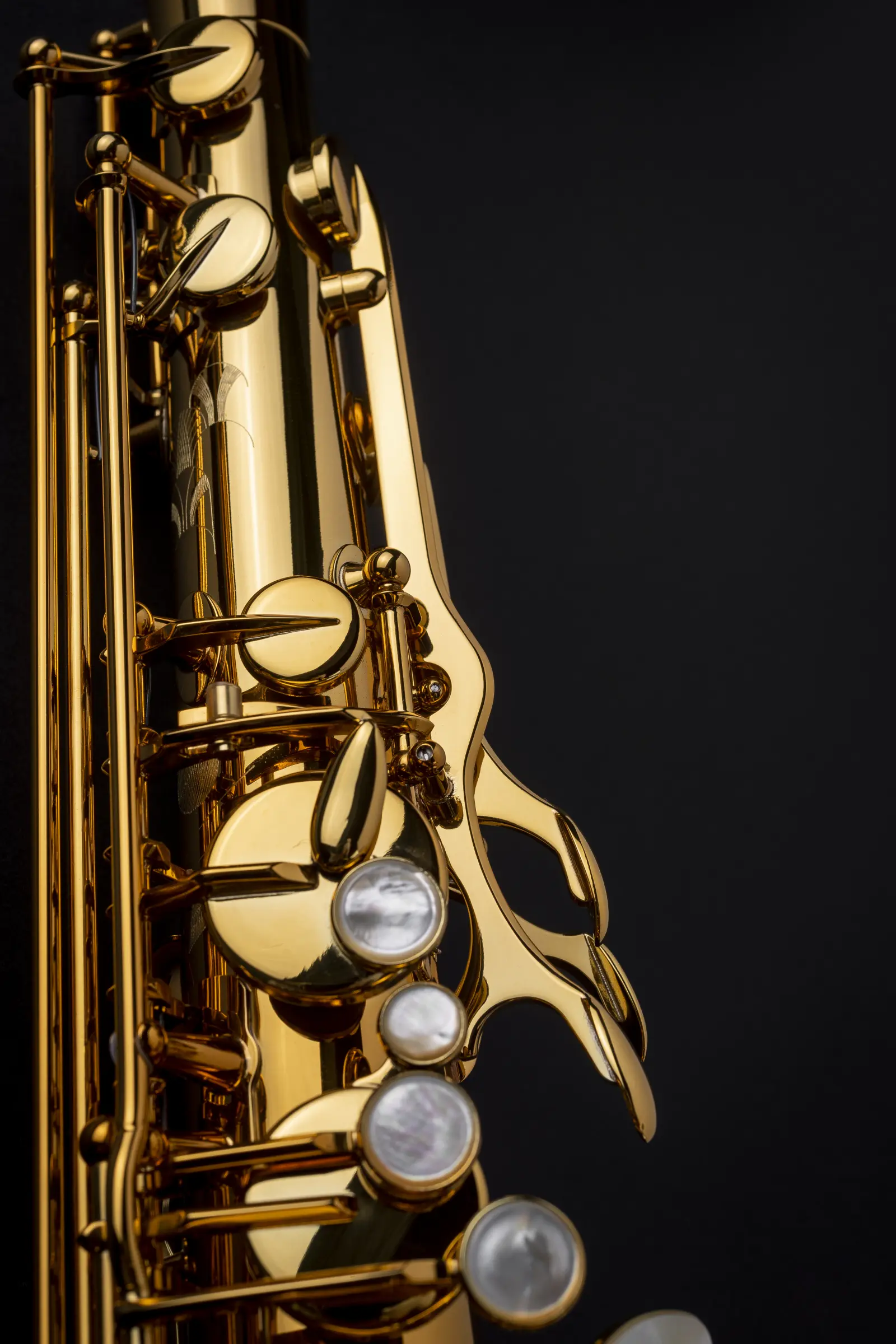 84SIG Selmer Professional Tenor Saxophone ArtShot - zoomed in