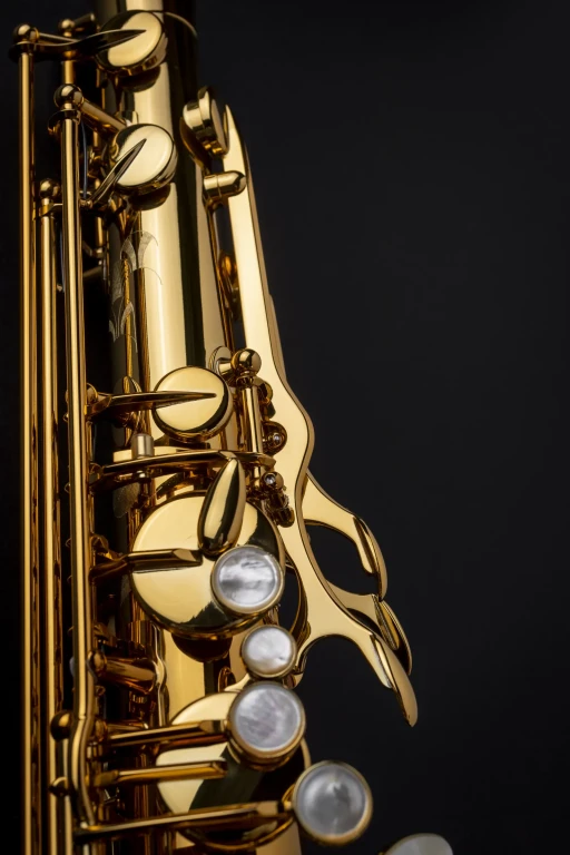 84SIG Selmer Professional Tenor Saxophone ArtShot