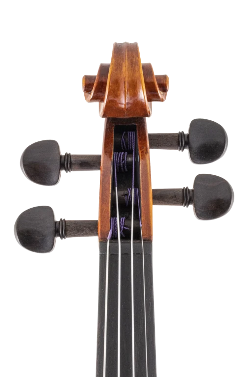 SR61E4H S&R StepUp Standard Violin In Fr Vr Xcu