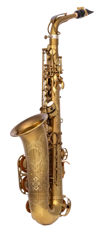 82SIGUSA1 HSP Professional  Alto