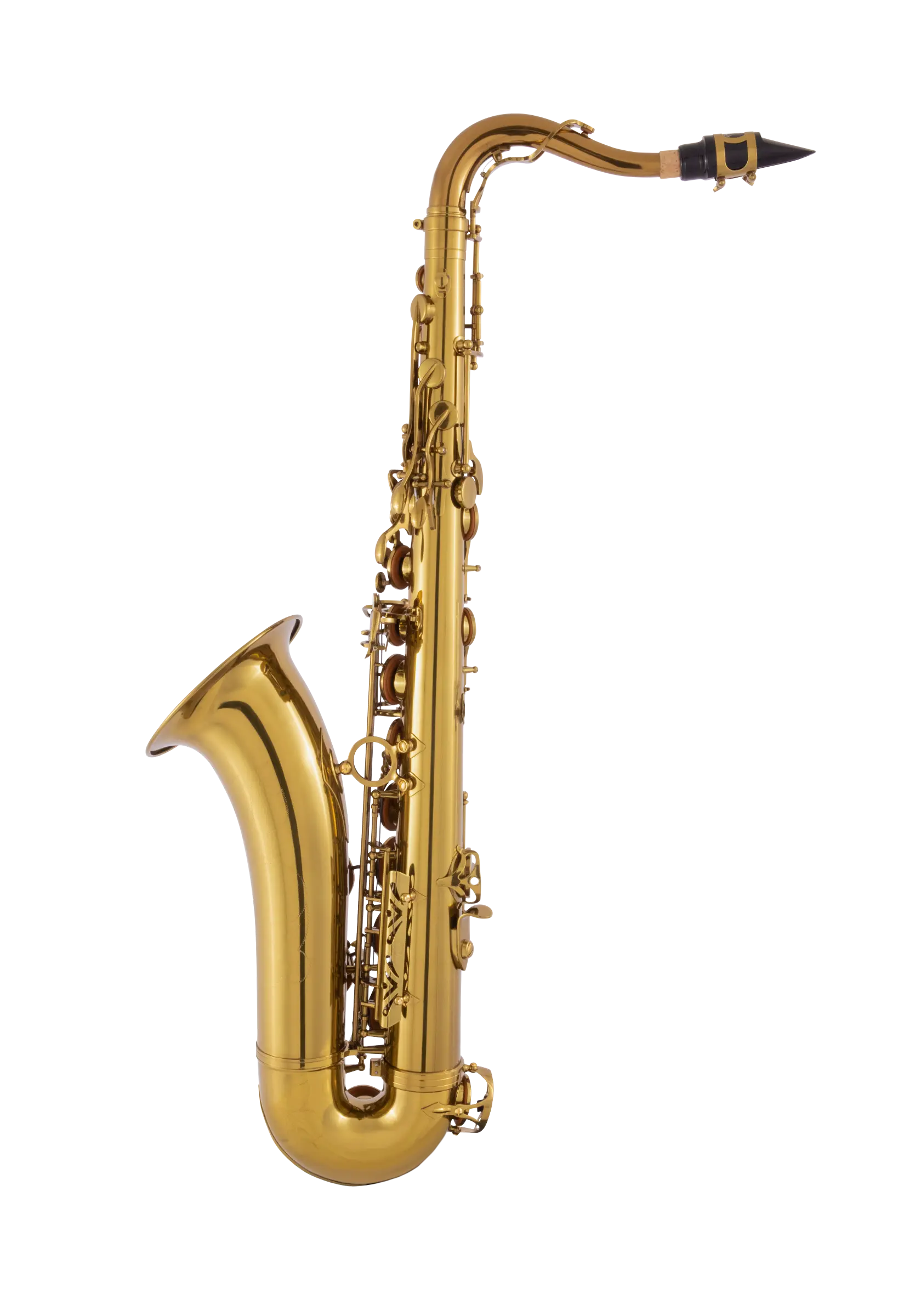 LTS411 Leblanc Student Tenor Saxophone - zoomed in