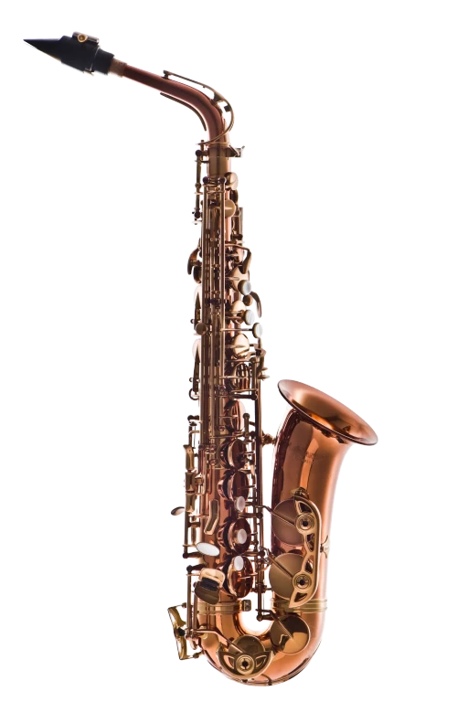 LAS711DL Alto Saxophone