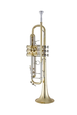 Bach Stradivarius Trumpet in Bb 19037