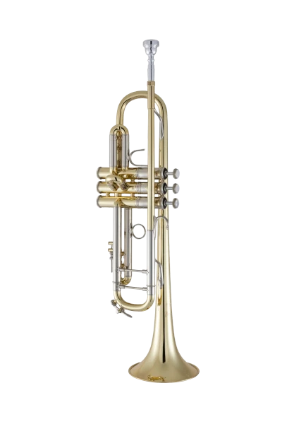 Bach Stradivarius Trumpet in Bb 19037