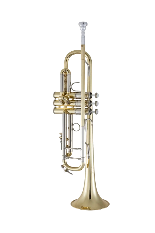 19037 Bach Professional Trumpet